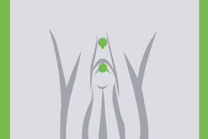 Female Genital Piercing Procedures