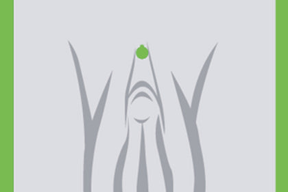 Female Genital Piercing Procedures