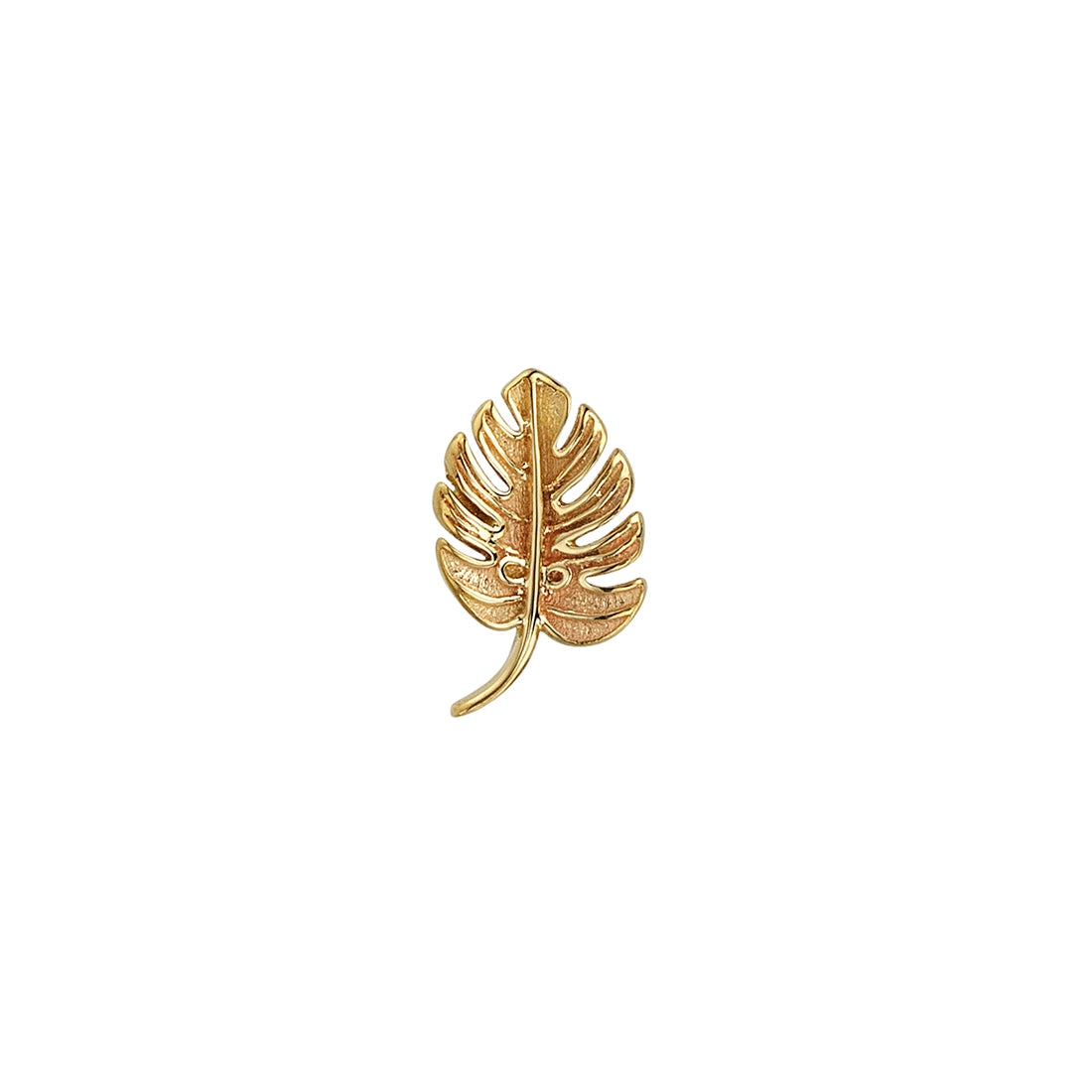 Tiny Monstera